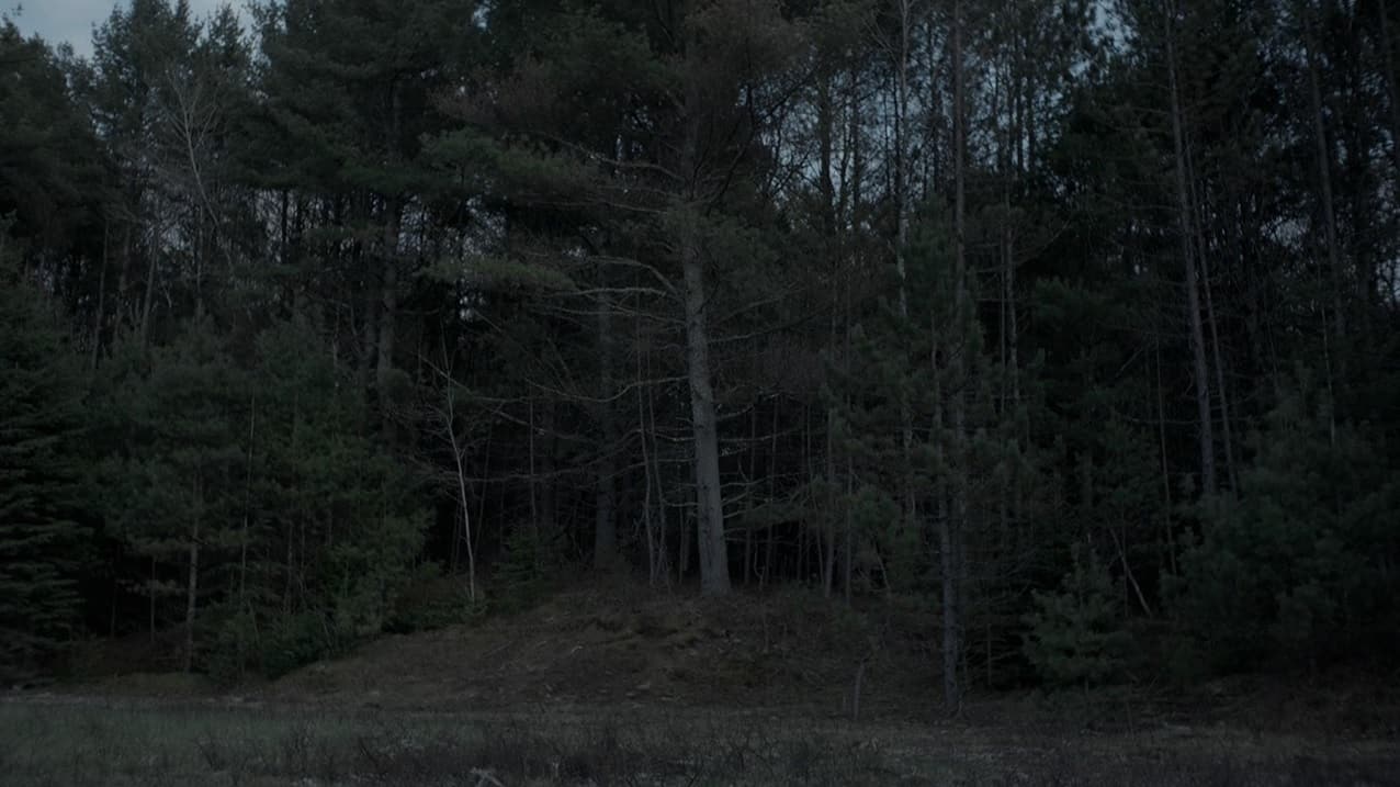 Still from "The Witch", 2015