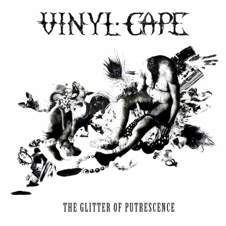 Vinyl Cape's 2016 release | Photo courtesy Milled Pavement website